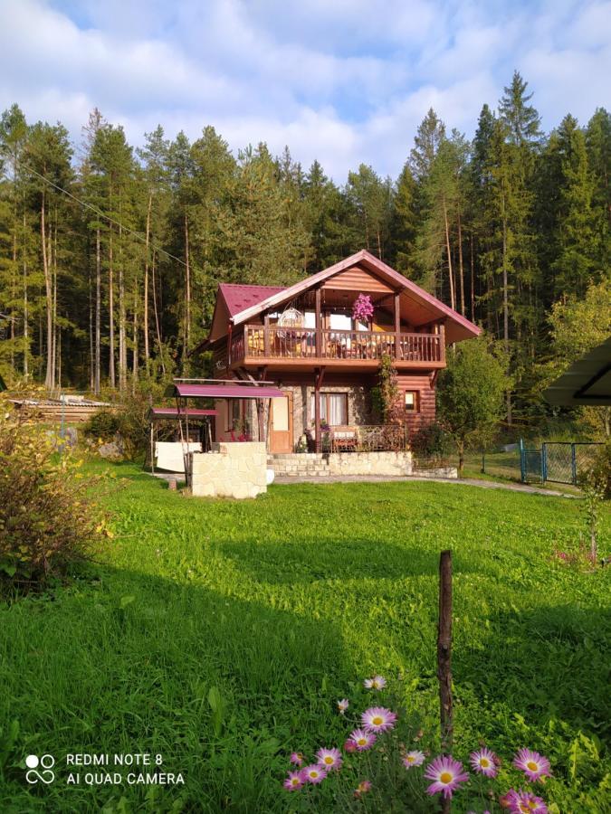 Villa Лісова Казка Yaremche Exterior foto