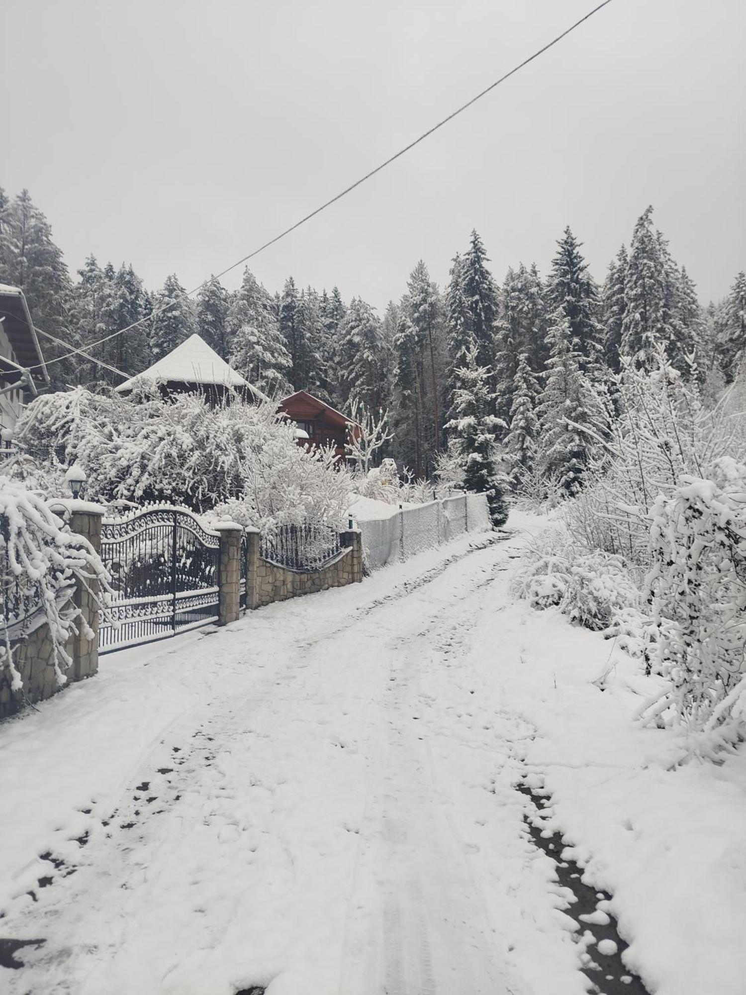 Villa Лісова Казка Yaremche Exterior foto